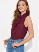 Tie Neck Solid Top