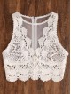 Scallop Lace Applique Exposed Zip Tulle Tank Top