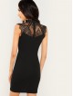 Sheer Eyelash Lace Yoke Solid Dress