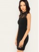 Sheer Eyelash Lace Yoke Solid Dress